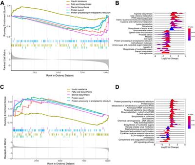 Hepatic gene expression profiles during fed–fasted–refed state in mice